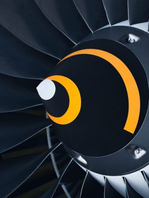 luka slapnicar yqexlr81uj0 unsplash